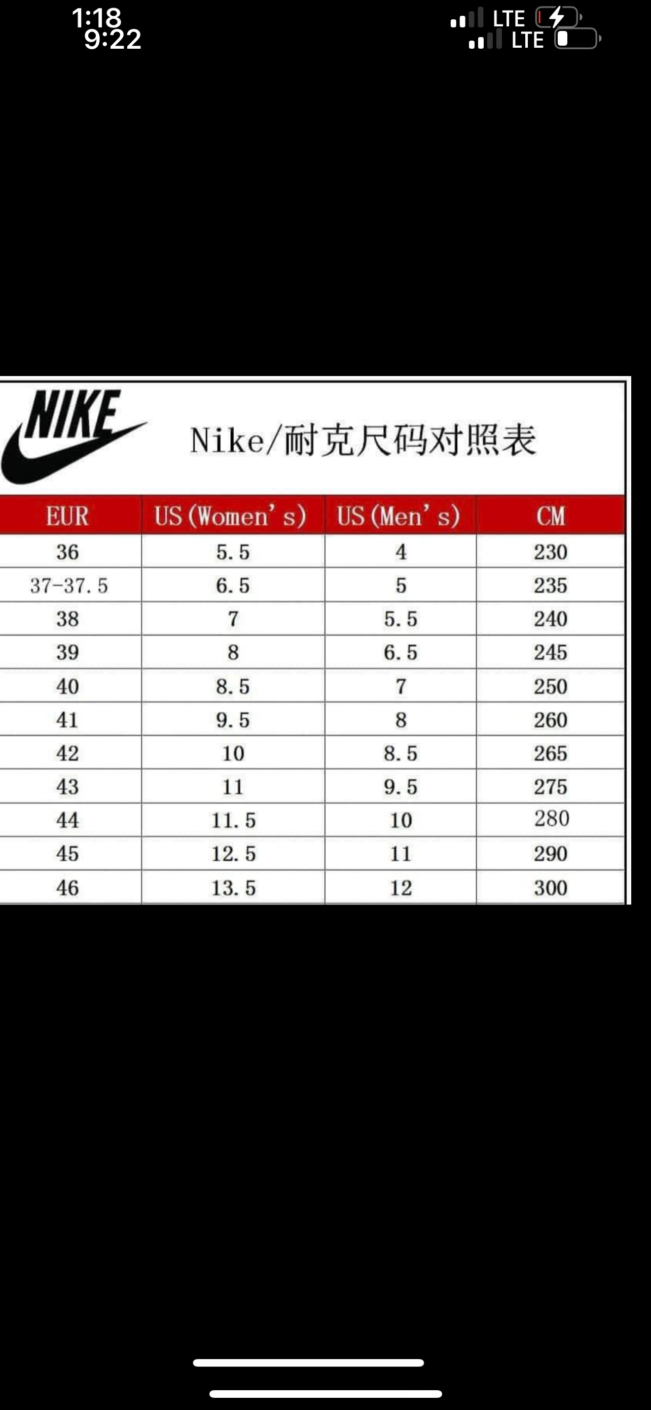 Adults NKE low dunks 3