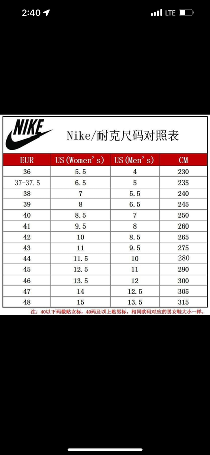 Low Dunk Panda (adults)