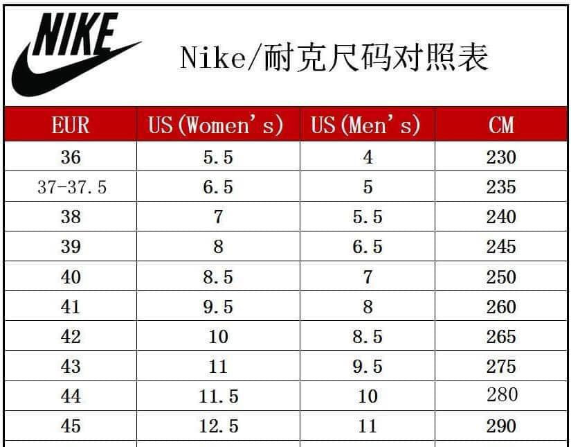 Adults NK low dunks 7