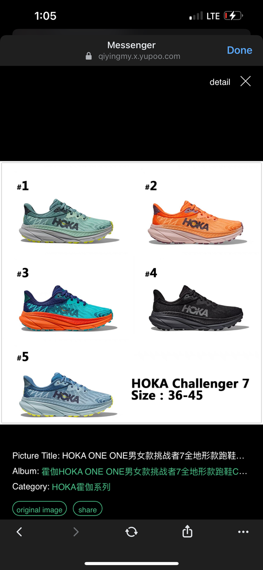 Hok shoes challenger