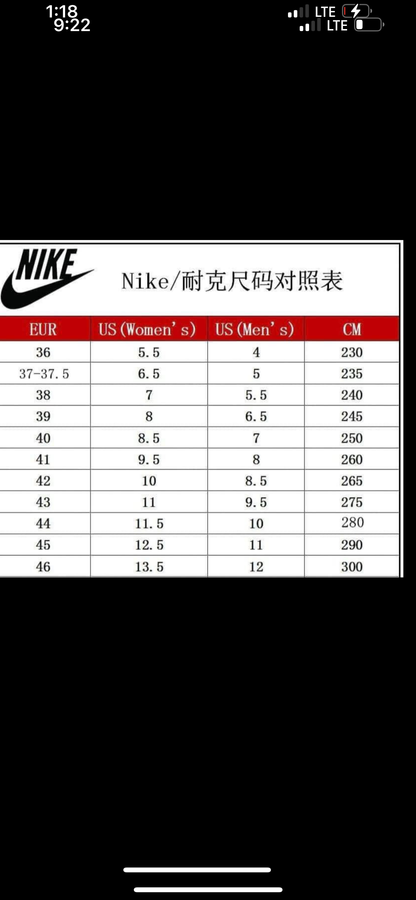 Adults NKE low dunks 3